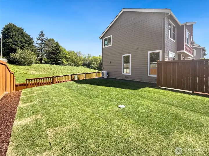 Huge side yard