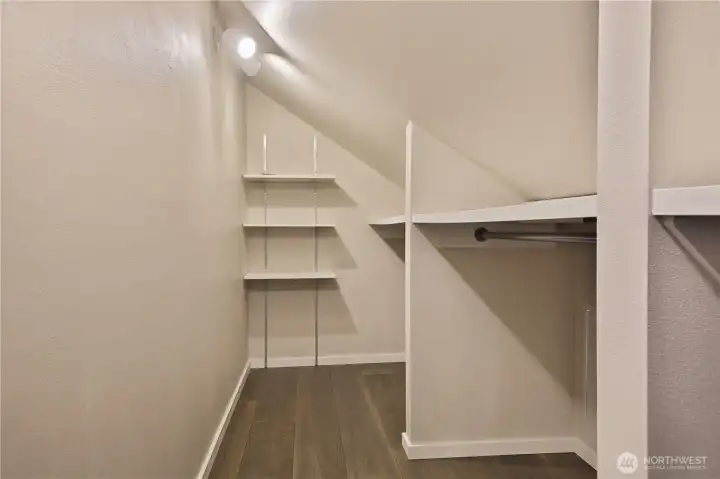 Large primary walk-in closet with additional lighted storage to the right of this photo.