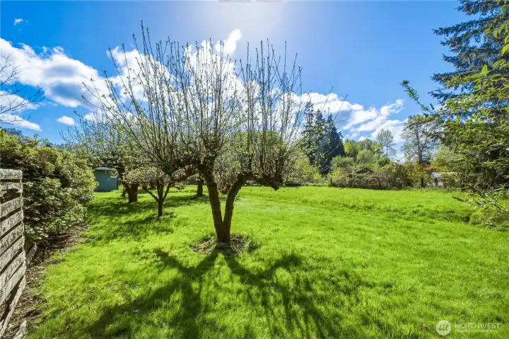 Imagine the possibilities of having a level acre as your own!