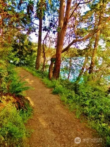 Groomed trail system throughout the community.