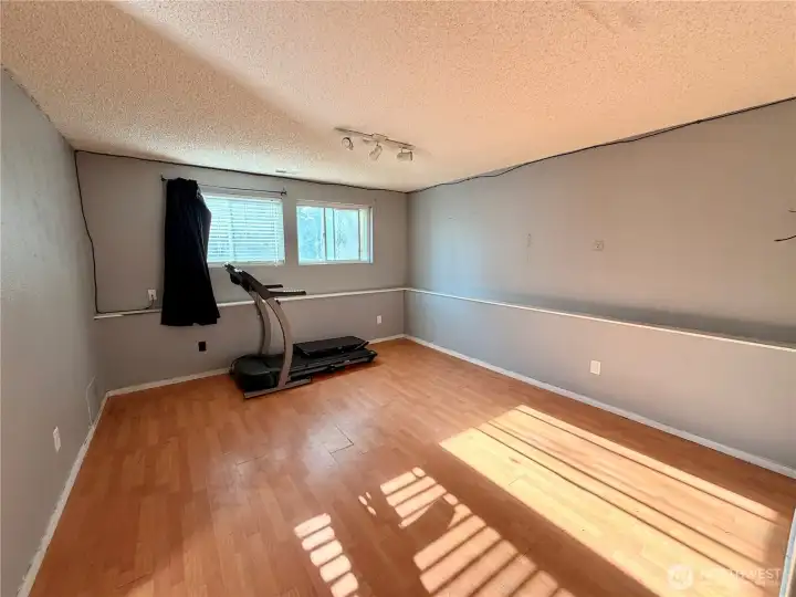Large bonus room downstairs, perfect for second living area, game room,