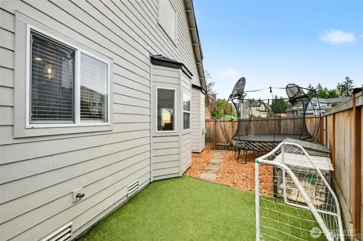 Turf on side of yard. Turf on side of yard.