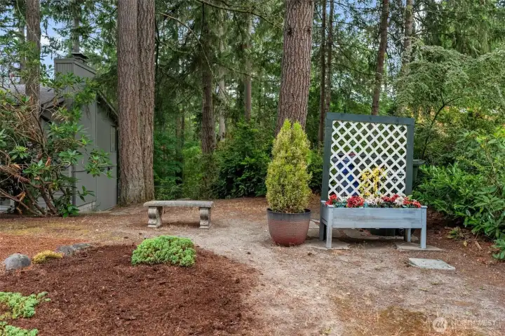 Large lot, feels like a park