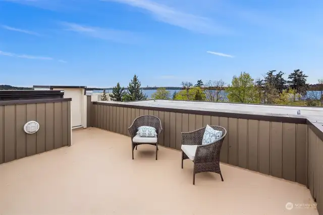 Roof top deck is quite large and very usable for entertaining.