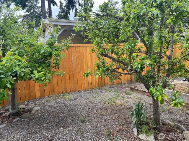fruit trees