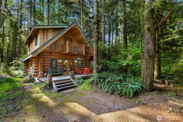 Welcome to 7010 Rainier Way