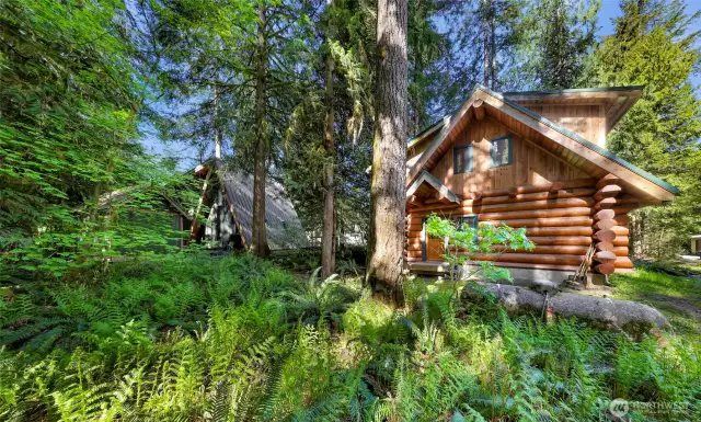 View of the back of the cabin