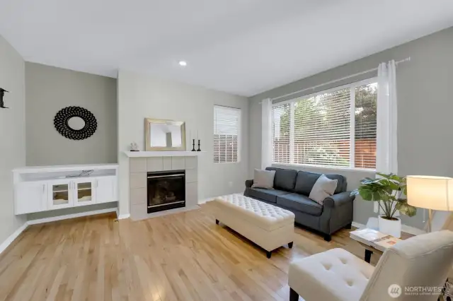 Gas fireplace & built-in media cabinetry