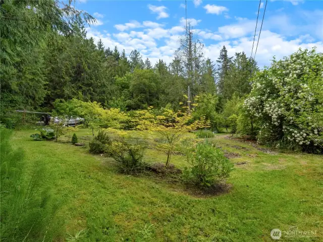 Gardener's dream with raised beds, fruit trees and a Japanese garden.
