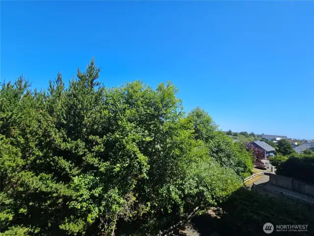Mature, landscaped property that can't be built on.