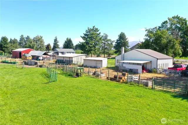 Rear of buildings and pasture