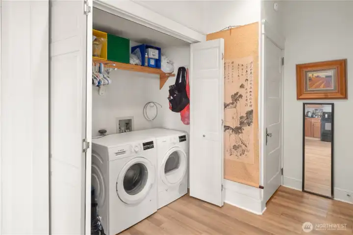909 Bosch wash and dryer in the hall closet along with additional storage.