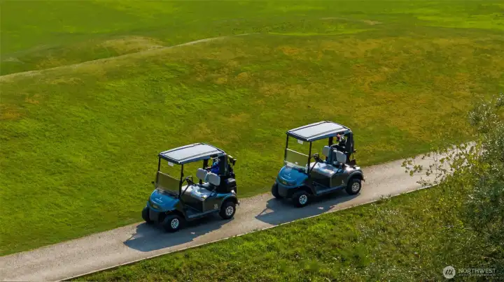 Love golf? Out your back door is the 11th Tee Box at Echo Falls Golf Club.