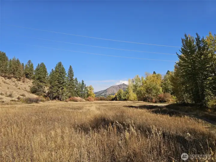 AMAZING ACRES AND ACRES OF FREE FLOWING FIELDS SET ASIDE SPECIFICALLY FOR DEER, ELK and OTHER NATURAL HABITAT. This is the conservancy area to the east of the property, Swauk Creek runs along this field to the right and there are walking/jogging trails down here as well