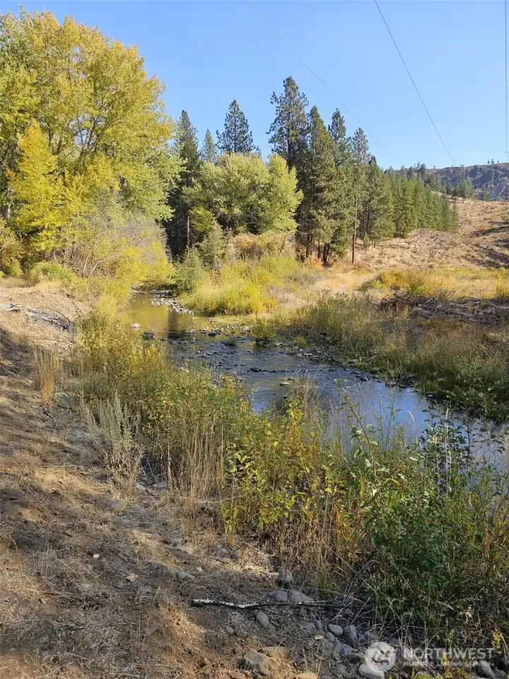 Swauk Creek that runs through the nature conservancy