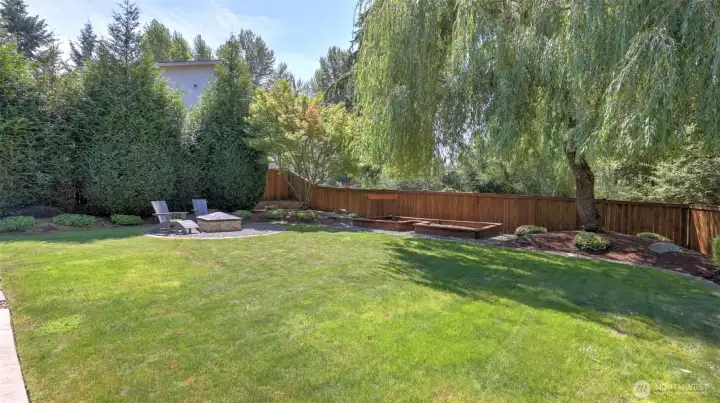 Plenty of space in this yard for all the outdoor activities!