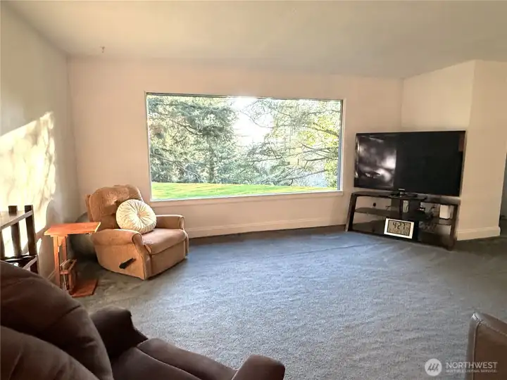 Stunning living room window view