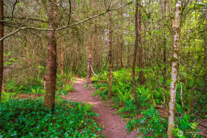 Groomed trails great for hiking, dirt bikes, 4 wheelers, etc..