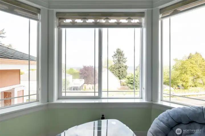 View in master bedroom