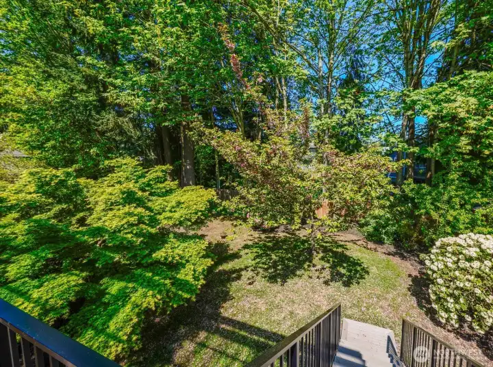 View of the backyard from the covered deck!