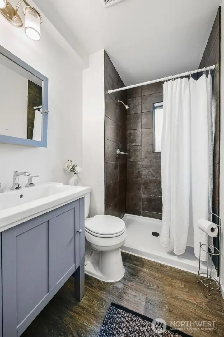 Lower level bathroom