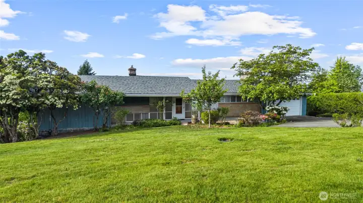 Expansive front yard