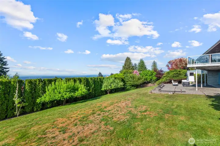 Privacy trees surround lot