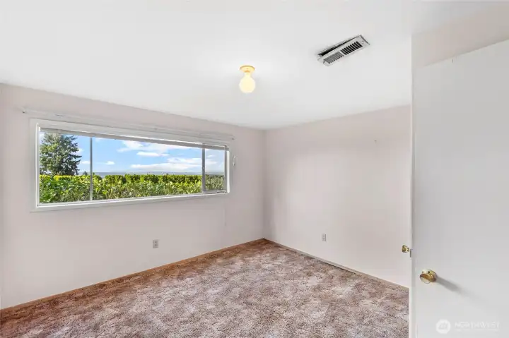 Bedroom 4 of 4 on lower level