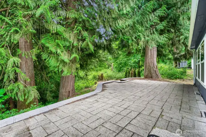 Private Backyard Setting