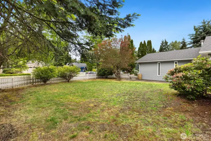 Large front yard area with flowering trees and bushes. Large front yard area with flowering trees and bushes.