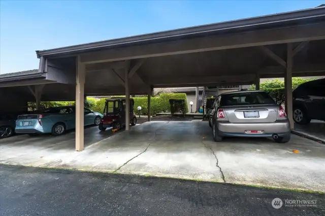 2 parking spaces belong to this unit.   One is this covered carpet spot and the other is uncovered and near your entry walkway.