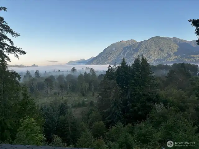 Foggy Valley