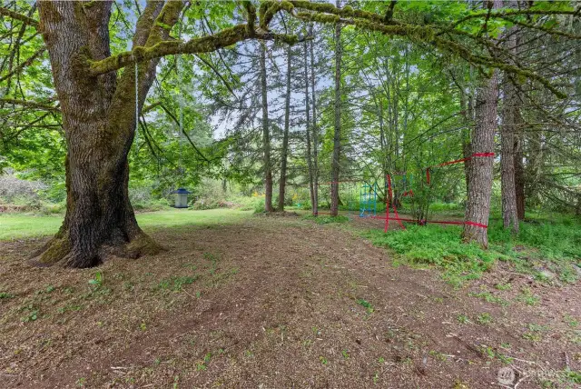 This Beautiful Maple is a Focal Point in the Front Yard! A Perfect PNW Playspace!