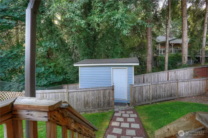 Backyard