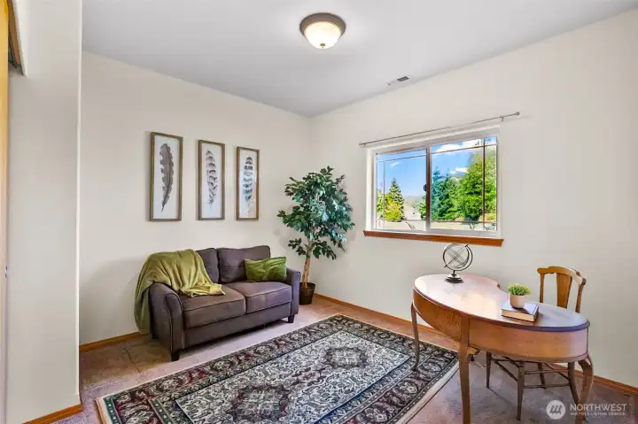 Lower Level Bedroom