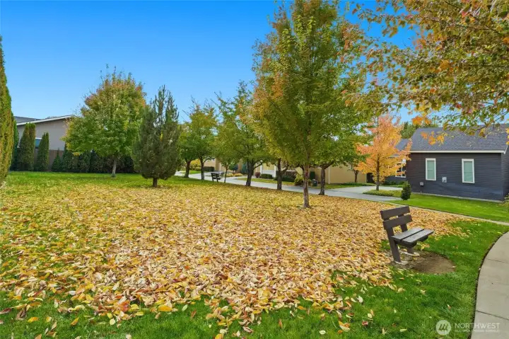 Community Green space