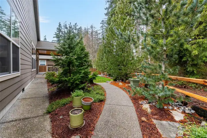 Backyard landscaping