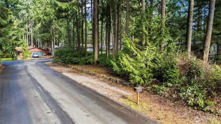 Corner lot with tons of extra parking