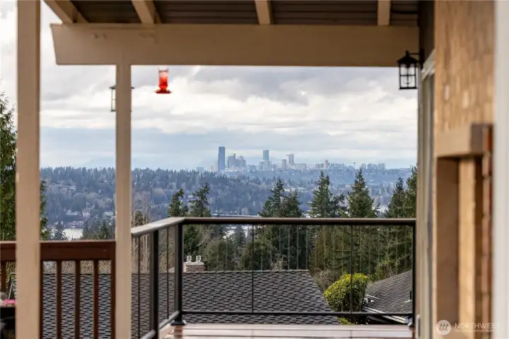 Views of Olympic Mtns, DT Seattle & Lake Washington from under your covered patio.