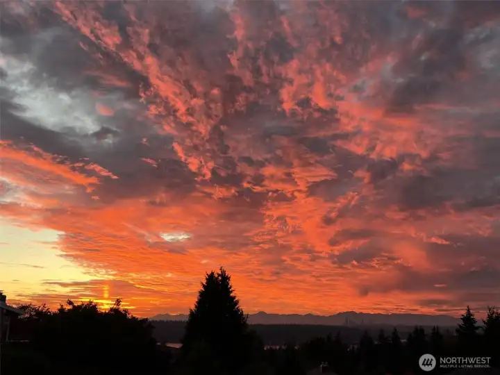 Other nights orange fire.