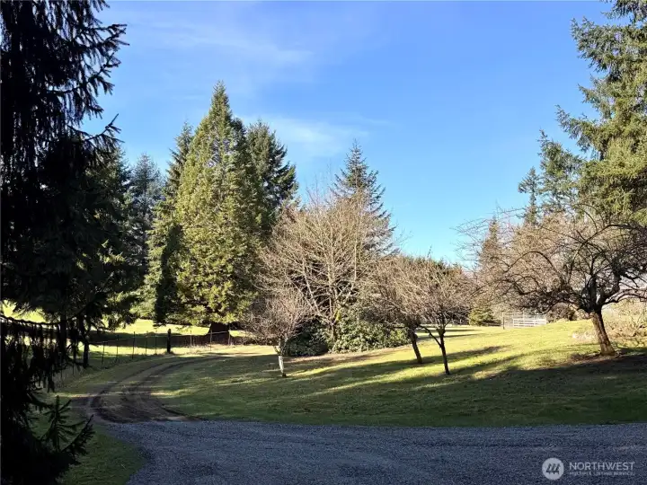 Road to shop/barn. Such scenic and sunny property! Road to shop/barn. Such scenic and sunny property!