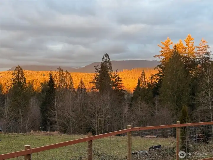 Surrounded by beauty!