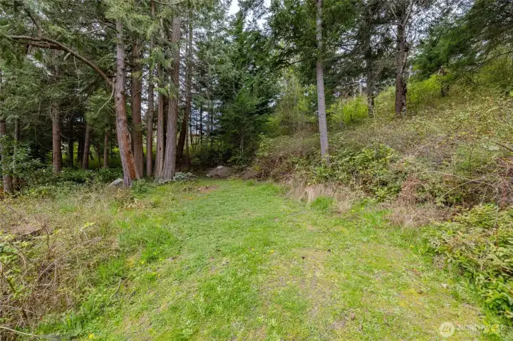 Natural slope offers excellent potential for creative home design