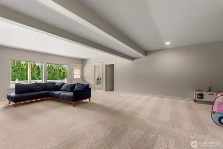 Lower Level Rec Room