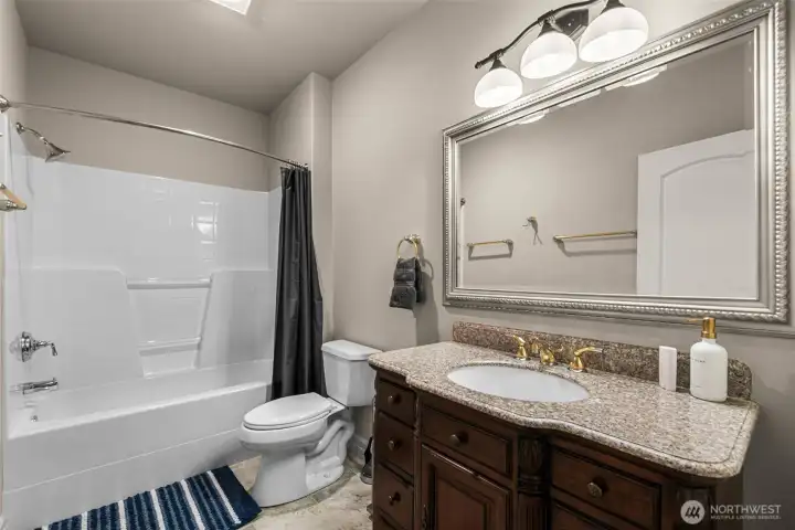 Lower Level bathroom