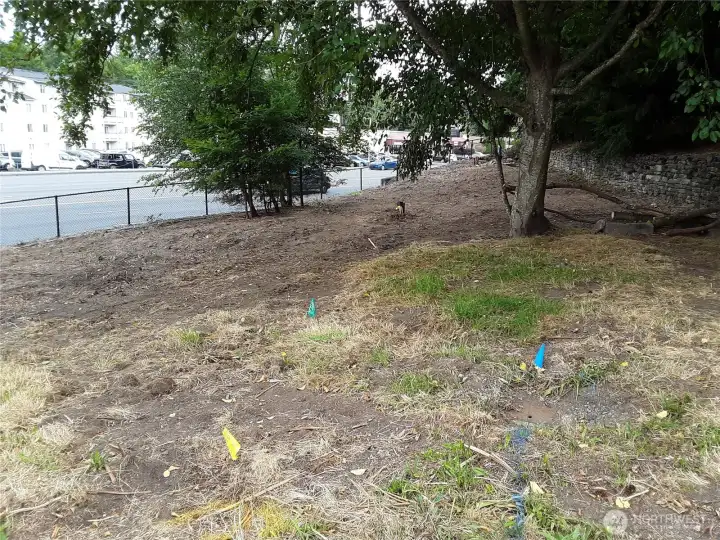 Near East side of property, looking North Near East side of property, looking North