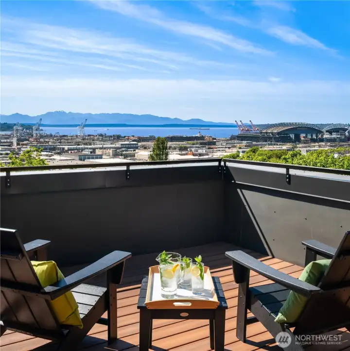 Full privacy and sweeping views from the roof deck.