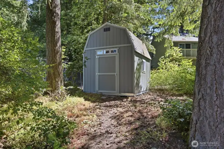 Tool Shed in Back Yard