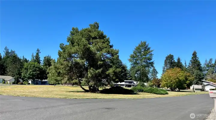 Large Green Space Across the Street Large Green Space Across the Street