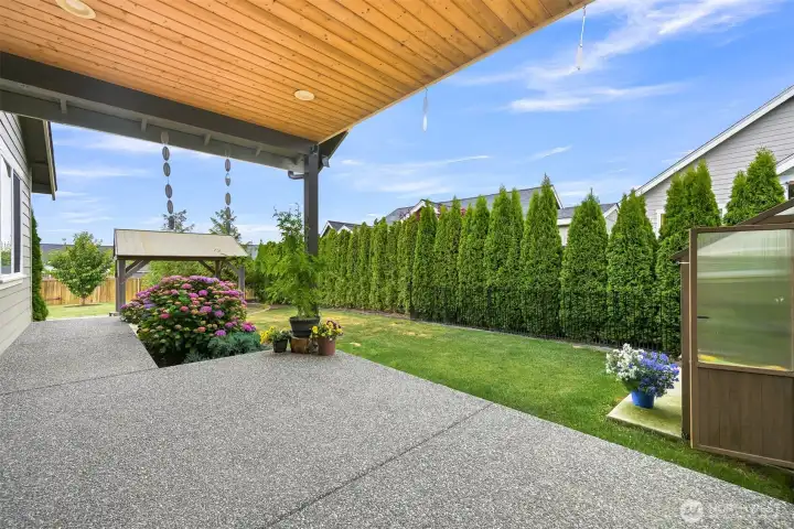 Large Back Yard with lovely covered area and privacy trees